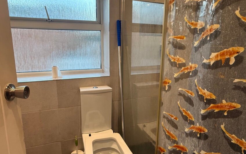 5 Bedroom Mid-Terraced House to Rent in Luton, LU2!!!